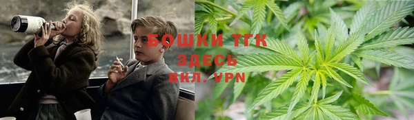 амф Медногорск