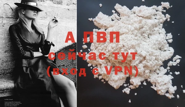 бошки Иннополис
