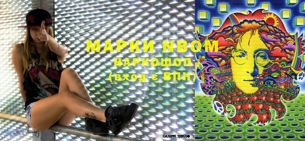 PSILOCYBIN Майский