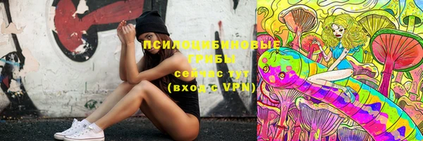 герыч Мегион