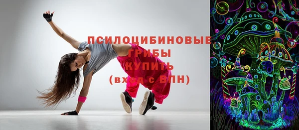 герыч Мегион