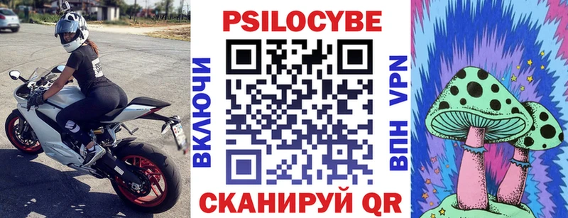 darknet клад  купить наркотик  Петров Вал  Псилоцибиновые грибы мицелий 
